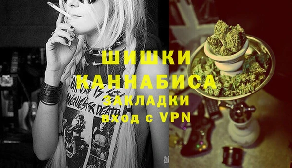 молекула духа Лабытнанги