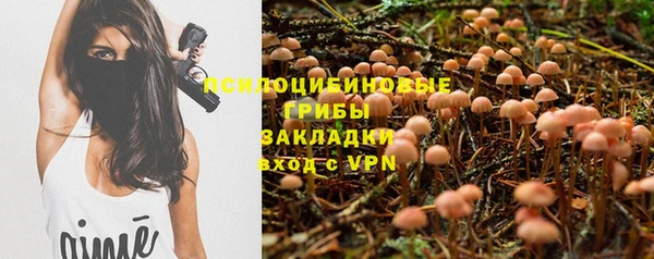молекула духа Козельск