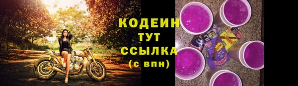 спиды Ладушкин