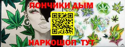 индика Обь