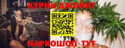 индика Обь