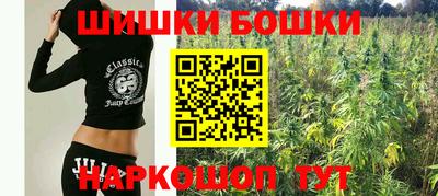 индика Обь