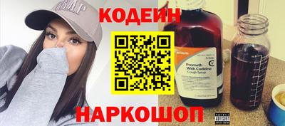 индика Обь