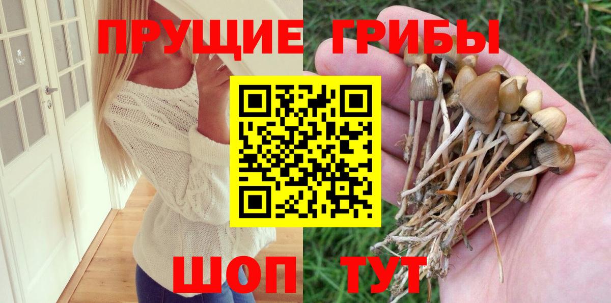 Тара  Псилоцибиновые грибы мицелий  Псилоцибиновые грибы мухоморы  Вход с VPN 